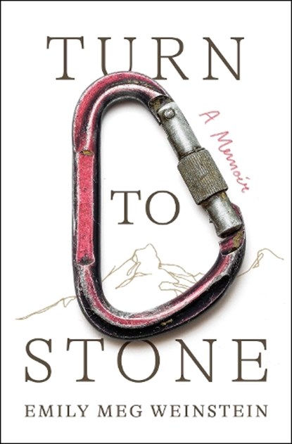 Turn to Stone, Emily Meg Weinstein - Paperback - 9781668047866
