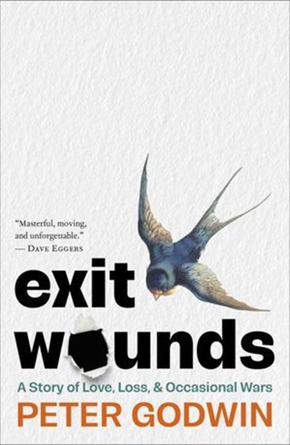 Exit Wounds, Peter Godwin - Ebook - 9781668074558