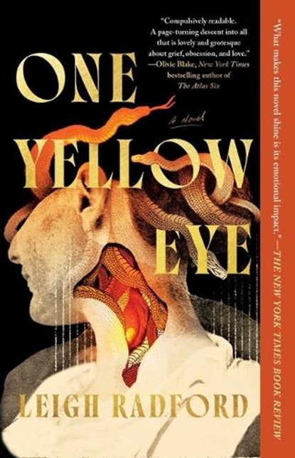 One Yellow Eye, Leigh Radford - Paperback - 9781668081228