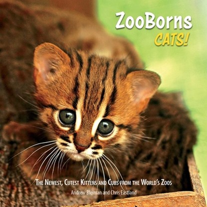 ZooBorns Cats!: The Newest, Cutest Kittens and Cubs from the World's Zoos, Andrew Bleiman - Paperback - 9781668207390