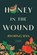 Honey in the Wound, Jiyoung Han - Paperback - 9781668228906