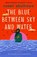 Blue Between Sky and Water, susan abulhawa - Paperback - 9781668242094