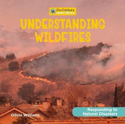 Understanding Wildfires, WILLIAMS,  Olivia - Paperback - 9781668900352