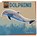 Dolphins, Joyce Markovics - Paperback - 9781668928943