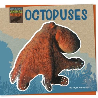 Octopuses, Joyce Markovics - Paperback - 9781668928967