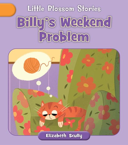 Billy's Weekend Problem, Elizabeth Scully - Paperback - 9781668955994