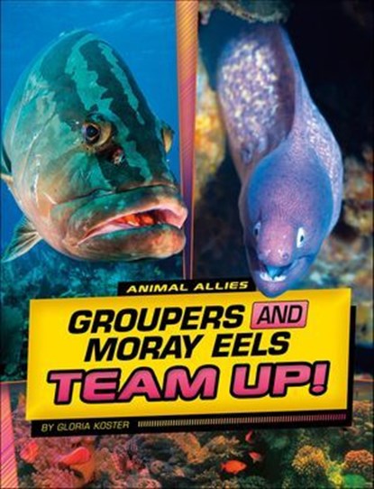 Groupers and Moray Eels Team Up!, Gloria Koster - Ebook - 9781669048855