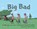 Big Bad, SMITH,  Lawrence ; Peckham, Rachel - Paperback - 9781669812944