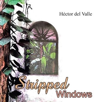 Stripped Windows, DEL VALLE,  Hector - Paperback - 9781669820338