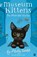 Midnight Visitor, Holly Webb - Paperback - 9781680104851