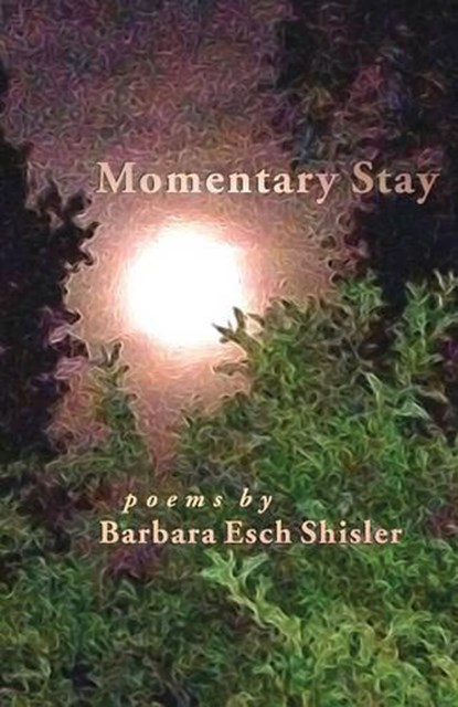 Momentary Stay, SHISLER,  Barbara Esch - Paperback - 9781680270020