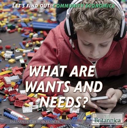 What Are Wants and Needs?, Barbara Gottfried Hollander - Paperback - 9781680484151