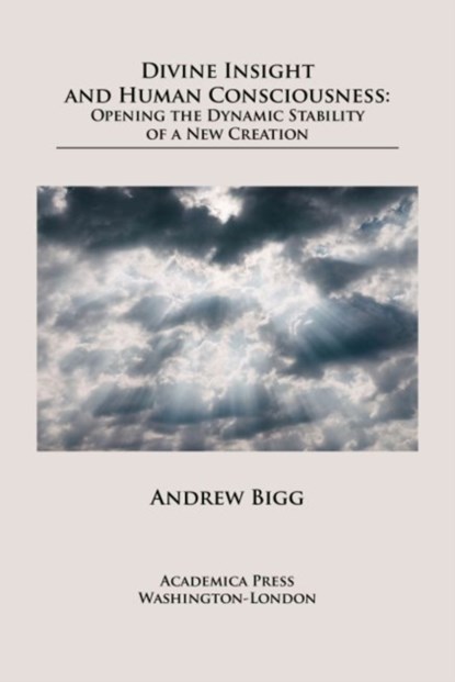 Divine Insight and Human Consciousness, Andrew Bigg - Gebonden - 9781680534917