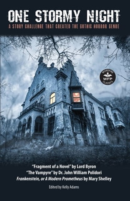 One Stormy Night, niet bekend - Ebook - 9781680572049