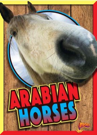 Arabian Horses, NOLL,  Elizabeth - Gebonden - 9781680727081