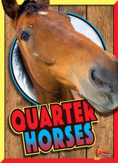 Quarter Horses, NOLL,  Elizabeth - Gebonden - 9781680727111