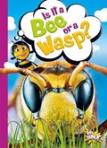 Is It a Bee or a Wasp? | Gail Terp | 