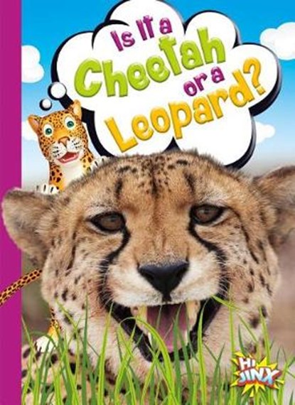 Is It a Cheetah or a Leopard?, TERP,  Gail - Gebonden - 9781680728989
