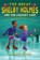 GRT SHELBY HOLMES & THE COLDES, Elizabeth Eulberg - Paperback - 9781681190594