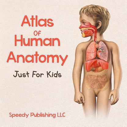 Atlas Of Human Anatomy Just For Kids, Speedy Publishing LLC - Paperback - 9781681275536