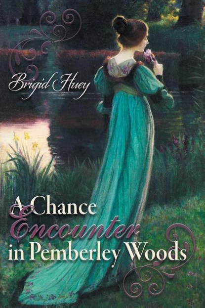 A Chance Encounter inPemberley Woods, Brigid Huey - Paperback - 9781681310343
