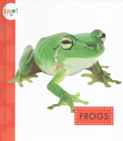 Frogs, Marysa Storm - Gebonden - 9781681510910