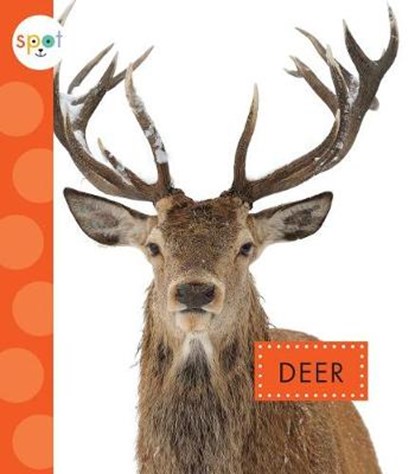Deer, Mari C. Schuh - Gebonden - 9781681515441