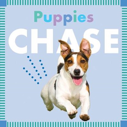Puppies Chase, Rebecca Stromstad Glaser - Gebonden - 9781681521961