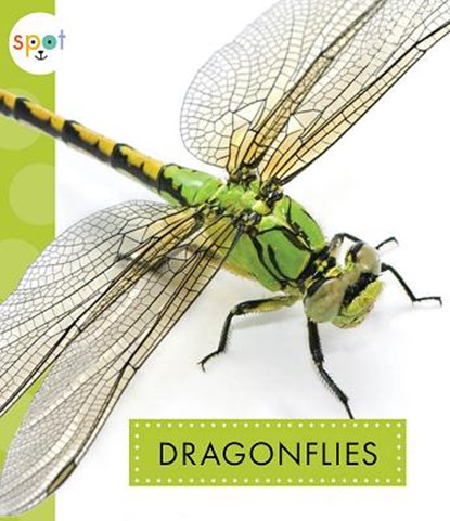 Dragonflies, Nessa Black - Paperback - 9781681523750