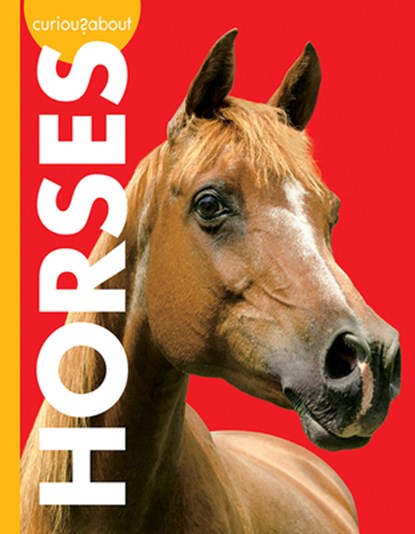 Curious about Horses, Jill Sherman - Paperback - 9781681526157