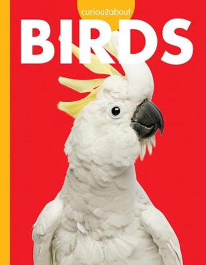Curious about Birds, Jill Sherman - Paperback - 9781681526164
