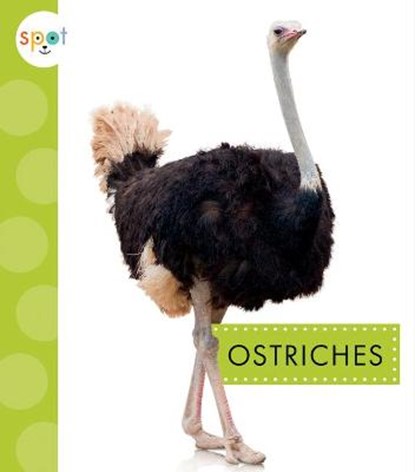 Ostriches, Lisa Amstutz - Paperback - 9781681526669
