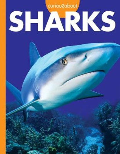 Curious about Sharks, Amy S. Hansen - Paperback - 9781681527031