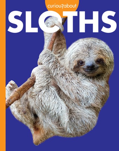 Curious about Sloths, Amy S. Hansen - Paperback - 9781681527048