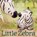 Little Zebra, Julie Abery - Gebonden - 9781681527420