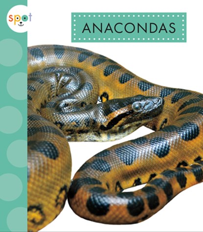 Anacondas, Alissa Thielges - Paperback - 9781681527826