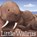 Little Walrus, Julie Abery - Gebonden - 9781681528717