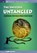 The Universe Untangled, Abigail Pillitteri - Paperback - 9781681745121