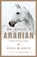Mr. Darley's Arabian, Christopher McGrath - Paperback - 9781681776804
