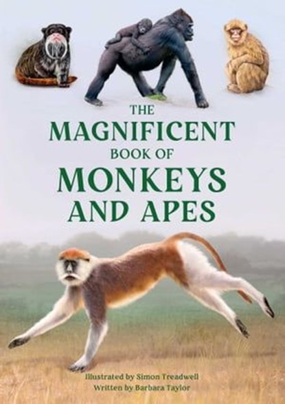 The Magnificent Book of Monkeys and Apes, Barbara Taylor - Ebook - 9781681888996