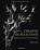 Creative Black and White, Harold Davis - Paperback - 9781681984964