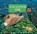 A Place for Fish, STEWART,  Melissa - Gebonden - 9781682630112