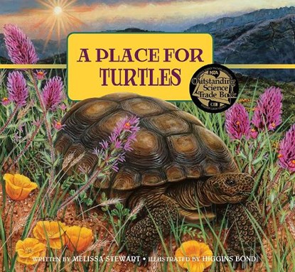 A Place for Turtles, STEWART,  Melissa - Gebonden - 9781682630969