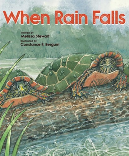 When Rain Falls, Melissa Stewart - Paperback - 9781682631003