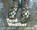 Toad Weather, Sandra Markle - Paperback - 9781682632864