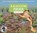 A Place for Frogs (Third Edition), Melissa Stewart - Gebonden - 9781682637449
