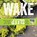 Wake/Sleep, Ariane Resnick - Paperback - 9781682683217
