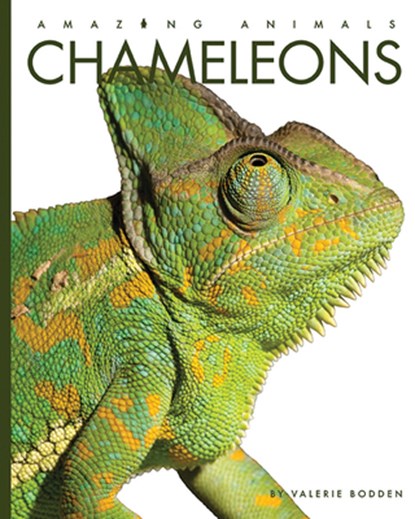 Chameleons, Valerie Bodden - Paperback - 9781682770603