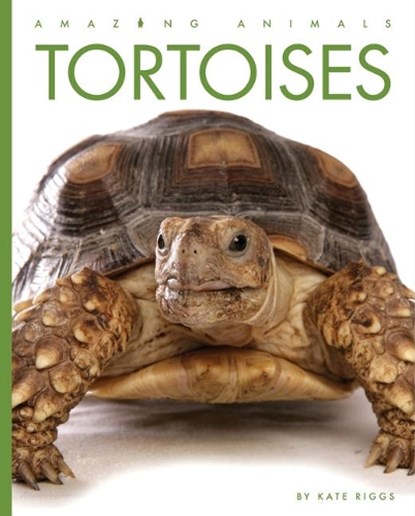 Tortoises, Kate Riggs - Paperback - 9781682771099
