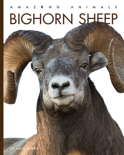 Bighorn Sheep, Kate Riggs - Paperback - 9781682771150